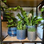 Keramični lonec Vintage 07.104.13 - komplet